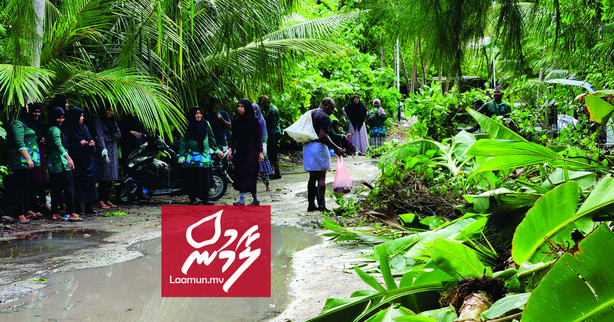 Maavashu Kilaagandu Saafukuranfashaifi